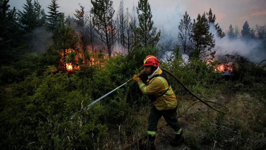 Puluhan ribu hektare kawasan hutan di wilayah Patagonia, Argentina, hangus dilahap api, pada Selasa, (27/1/2026). (REUTERS/Matias Garay)