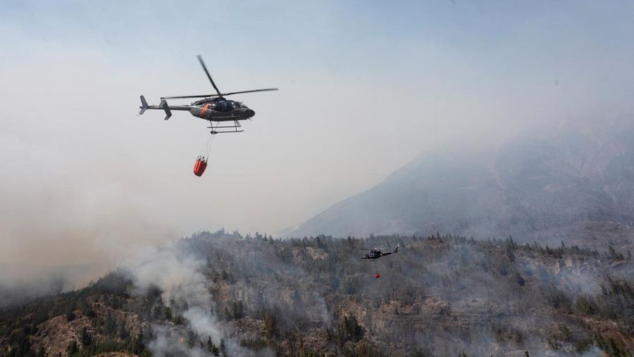 Puluhan ribu hektare kawasan hutan di wilayah Patagonia, Argentina, hangus dilahap api, pada Selasa, (27/1/2026). (REUTERS/Matias Garay)