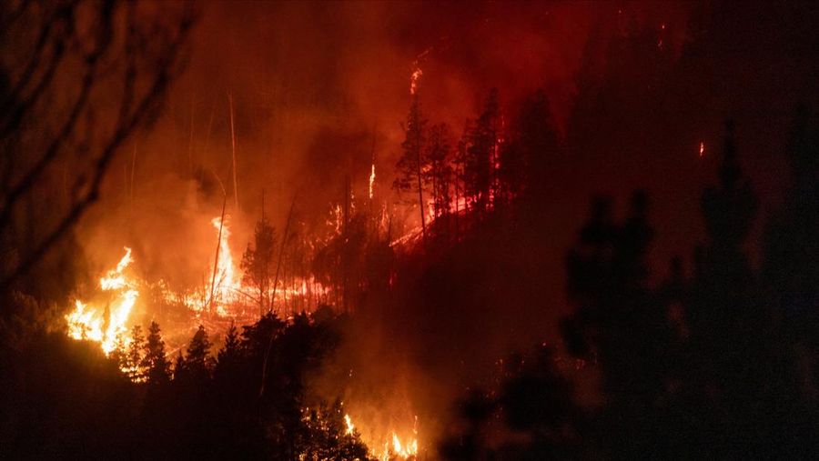 Puluhan ribu hektare kawasan hutan di wilayah Patagonia, Argentina, hangus dilahap api, pada Selasa, (27/1/2026). (REUTERS/Matias Garay)