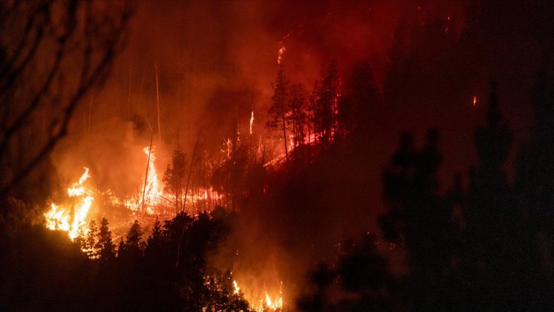 Puluhan ribu hektare kawasan hutan di wilayah Patagonia, Argentina, hangus dilahap api, pada Selasa, (27/1/2026). (REUTERS/Matias Garay)