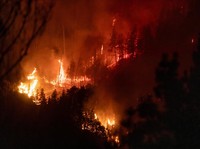 Petaka di Argentina, 30 Ribu Hektare Lahan Hangus-Ribuan Dievakuasi