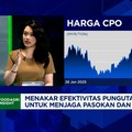 Video: Pungutan Ekspor CPO Naik ke 12,5%,  Apa Efeknya ke Bisnis CPO?