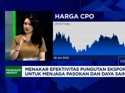 Video: Pungutan Ekspor CPO Naik ke 12,5%,  Apa Efeknya ke Bisnis CPO?