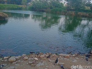 Taman Burung Cemara Asri Jadi Tempat Favorit Warga Untuk Santai dan Olahraga