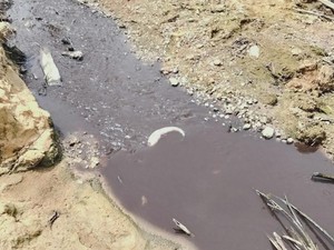 Menanti Solusi untuk Sungai Tujung yang Menghitam Tercemar Limbah