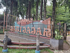 Seru Berakhir Pekan di Taman Jatijajar, tetapi Tolong Jangan Rusak Rumputnya!
