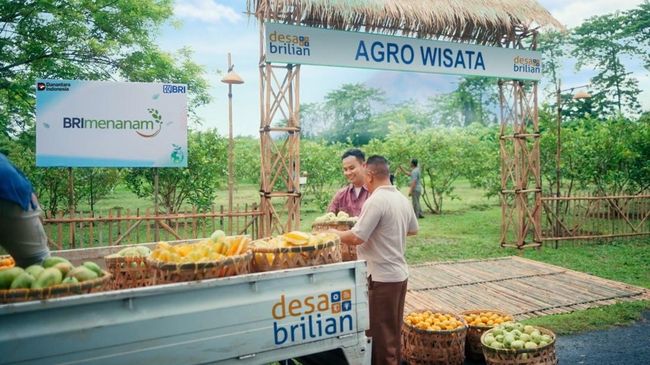 BRI Perluas Dukungan Pengembangan Ekonomi 5.245 Desa BRILiaN