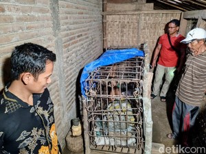 Belajar Ilmu Kanuragan Picu Kirno Gangguan Jiwa hingga Dipasung 20 Tahun