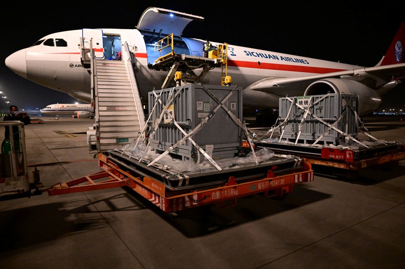 Panda raksasa Lei Lei di dalam kandang setelah tiba dari Jepang di Pangkalan Panda Bifengxia di Yaan, provinsi Sichuan, Tiongkok, Rabu (28/1/2026). (China Daily via REUTERS)