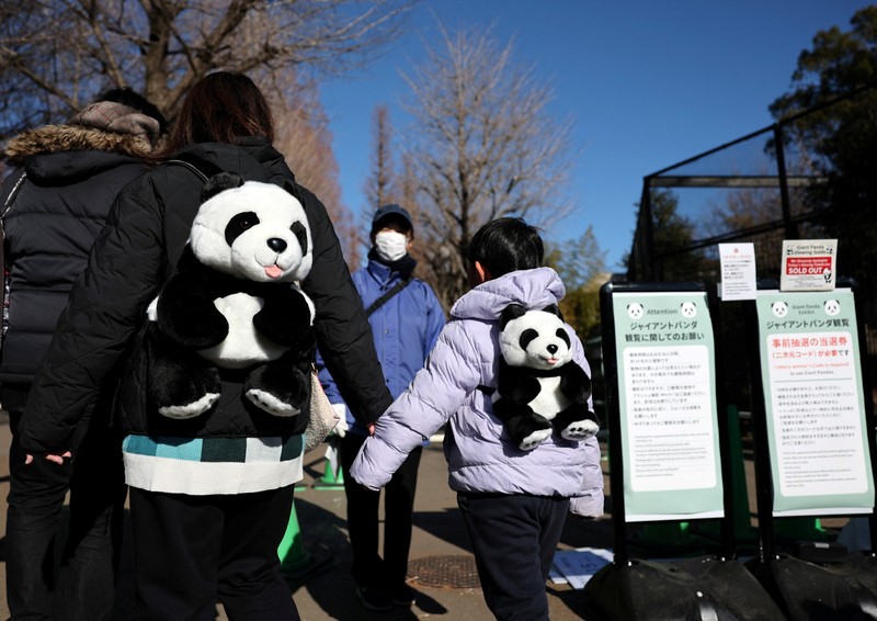 Panda raksasa Lei Lei di dalam kandang setelah tiba dari Jepang di Pangkalan Panda Bifengxia di Yaan, provinsi Sichuan, Tiongkok, Rabu (28/1/2026). (China Daily via REUTERS)