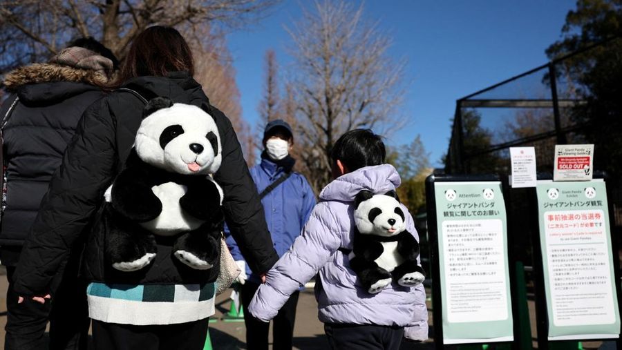 Panda raksasa Lei Lei di dalam kandang setelah tiba dari Jepang di Pangkalan Panda Bifengxia di Yaan, provinsi Sichuan, Tiongkok, Rabu (28/1/2026). (China Daily via REUTERS)