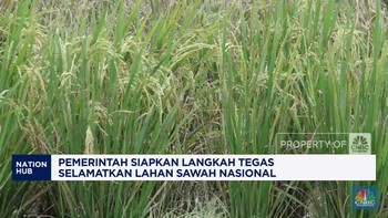 Video:Pemerintah Siapkan Langkah Tegas Selamatkan Lahan Sawah Nasional