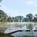Situ Lembang Park, Menteng, Jakarta. (Dok. Detikcom/Weka Kanaka)