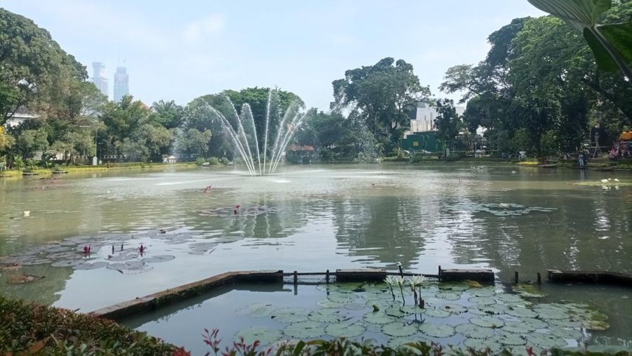 Situ Lembang Park, Menteng, Jakarta. (Dok. Detikcom/Weka Kanaka)