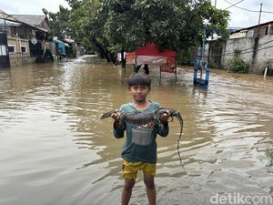 3 Ekor Ular hingga Biawak Ditangkap Warga Kranji Bekasi Saat Banjir
