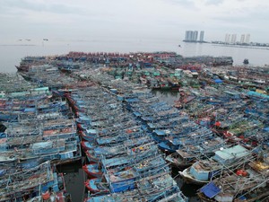 Bikin Sesak Muara Angke, Kapal-kapal Mangkrak Mulai Dipindah