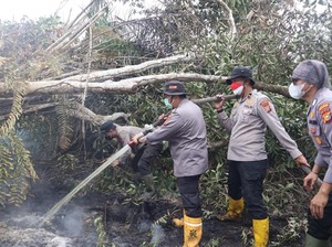 Lahan 4 Hektare di Pelalawan Terbakar, Polisi Turun Padamkan Api