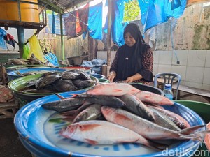 Tata Pasar Ikan, Pemkot Mataram Bakal Pindahkan Tempat Jualan 36 Pedagang