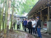 Wamen Transmigrasi Ajak Ajik Krisna Dorong Bali Jadi Pusat Bambu Dunia