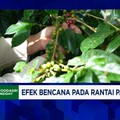 Video: Masalah Kopi RI: Produksi Stagnan Saat Permintaan & Harga Naik