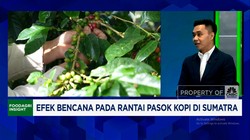 Video: Masalah Kopi RI: Produksi Stagnan Saat Permintaan & Harga Naik