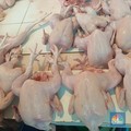 Keras! Bapanas Ancam Cabut Izin Pedagang Daging Ayam Nakal