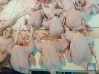 Keras! Bapanas Ancam Cabut Izin Pedagang Daging Ayam Nakal