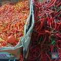 Terungkap! Cabai, Bawang Merah & Telur Bikin RI Deflasi di Awal Tahun