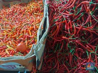 Terungkap! Cabai, Bawang Merah & Telur Bikin RI Deflasi di Awal Tahun