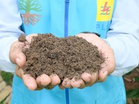 PLN Olah Abu Sisa Pembakaran Batu Bara dari PLTU Sampai 3,44 Juta Ton