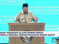 Video: Prabowo Klaim Hampir Semua Kepala Negara Mohon RI Pasok Sawit