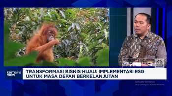 Video: Wujudkan Ambisi Pemerintahan Prabowo Perkuat Implementasi ESG