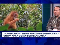 Video: Wujudkan Ambisi Pemerintahan Prabowo Perkuat Implementasi ESG