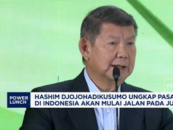 Video: Hashim Djojohadikusumo: Pasar Karbon RI Dimulai Juli 2026