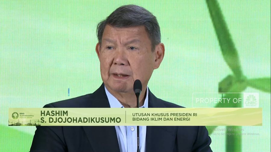 Hashim Ungkap Prospek RI Gaet Miliaran Dolar di Pasar Karbon RI