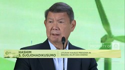 Video: Hashim Ungkap Prospek RI Gaet Miliaran Dolar di Pasar Karbon RI