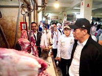 Tegas! Amran Ingatkan Tukang Jagal, Larang Naikkan Harga Daging Sapi