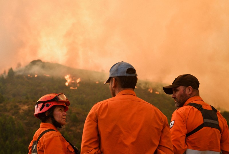 Seorang anggota perlindungan sipil mengamati area yang terkena dampak kebakaran hutan di Cholila, di provinsi Patagonia Chubut, Argentina, 1 Februari 2026. (REUTERS/Nicolas Palacios)