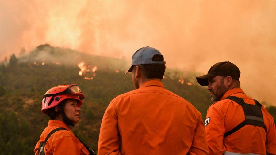 Seorang anggota perlindungan sipil mengamati area yang terkena dampak kebakaran hutan di Cholila, di provinsi Patagonia Chubut, Argentina, 1 Februari 2026. (REUTERS/Nicolas Palacios)
