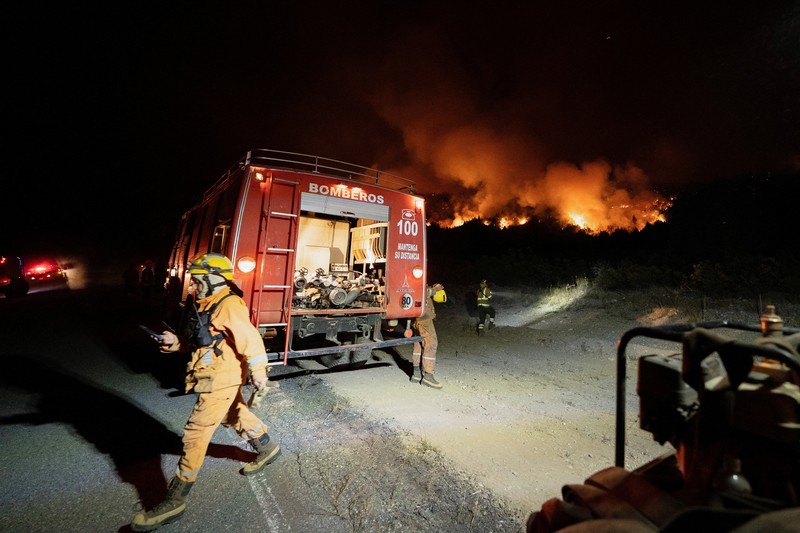 Seorang anggota perlindungan sipil mengamati area yang terkena dampak kebakaran hutan di Cholila, di provinsi Patagonia Chubut, Argentina, 1 Februari 2026. (REUTERS/Nicolas Palacios)
