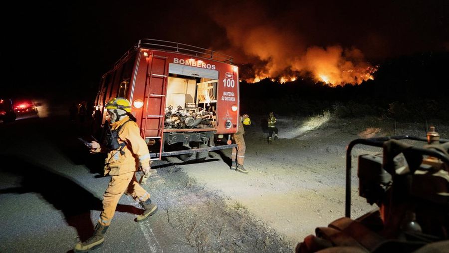 Seorang anggota perlindungan sipil mengamati area yang terkena dampak kebakaran hutan di Cholila, di provinsi Patagonia Chubut, Argentina, 1 Februari 2026. (REUTERS/Nicolas Palacios)