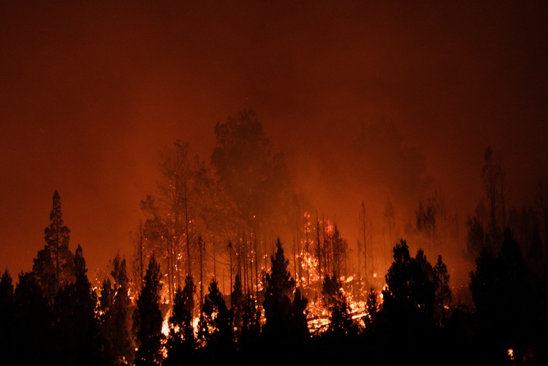 Seorang anggota perlindungan sipil mengamati area yang terkena dampak kebakaran hutan di Cholila, di provinsi Patagonia Chubut, Argentina, 1 Februari 2026. (REUTERS/Nicolas Palacios)