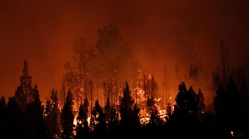 Seorang anggota perlindungan sipil mengamati area yang terkena dampak kebakaran hutan di Cholila, di provinsi Patagonia Chubut, Argentina, 1 Februari 2026. (REUTERS/Nicolas Palacios)