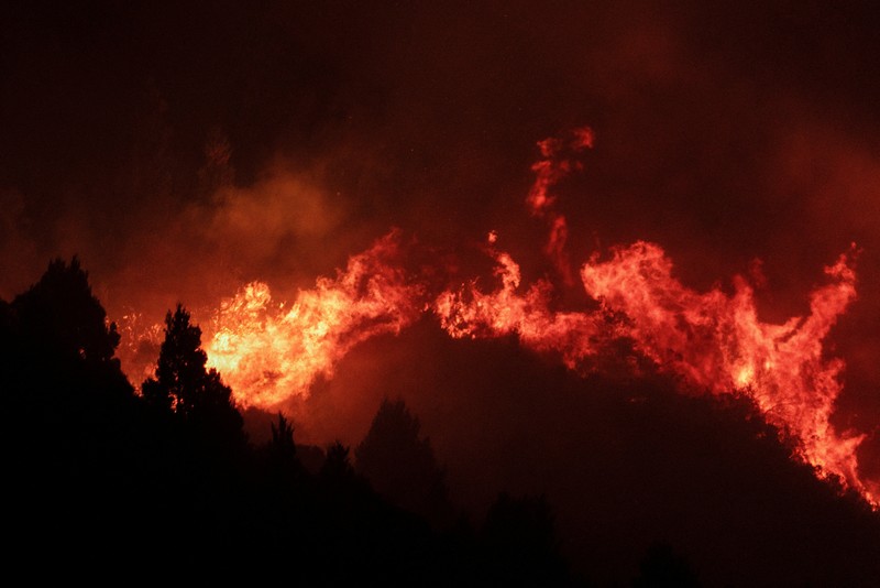 Seorang anggota perlindungan sipil mengamati area yang terkena dampak kebakaran hutan di Cholila, di provinsi Patagonia Chubut, Argentina, 1 Februari 2026. (REUTERS/Nicolas Palacios)