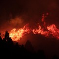 Potret Kebakaran Hutan Hanguskan 50.000 Hektare Lahan, Status Darurat