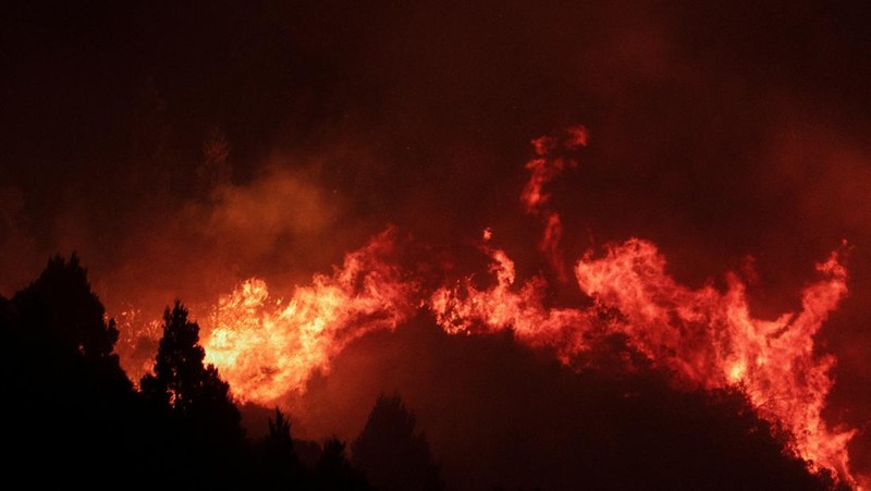 Seorang anggota perlindungan sipil mengamati area yang terkena dampak kebakaran hutan di Cholila, di provinsi Patagonia Chubut, Argentina, 1 Februari 2026. (REUTERS/Nicolas Palacios)