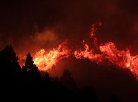 Potret Kebakaran Hutan Hanguskan 50.000 Hektare Lahan, Status Darurat