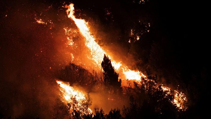 Seorang anggota perlindungan sipil mengamati area yang terkena dampak kebakaran hutan di Cholila, di provinsi Patagonia Chubut, Argentina, 1 Februari 2026. (REUTERS/Nicolas Palacios)