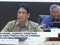 Video: Purbaya Bentuk Pansel, Bos OJK Baru Terpilih Dalam 2 Minggu