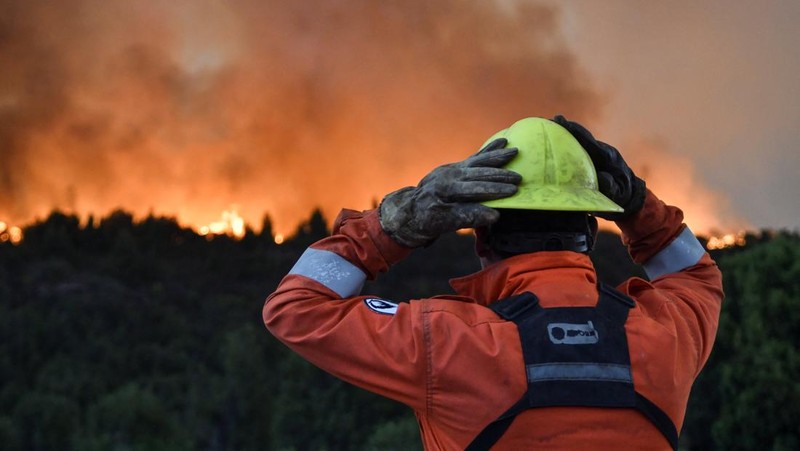 Seorang anggota perlindungan sipil mengamati area yang terkena dampak kebakaran hutan di Cholila, di provinsi Patagonia Chubut, Argentina, 1 Februari 2026. (REUTERS/Nicolas Palacios)